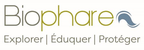 Logo Biophare V3 2024 05 10